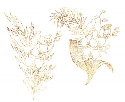 Orchidee mit braunem Strich gemalt