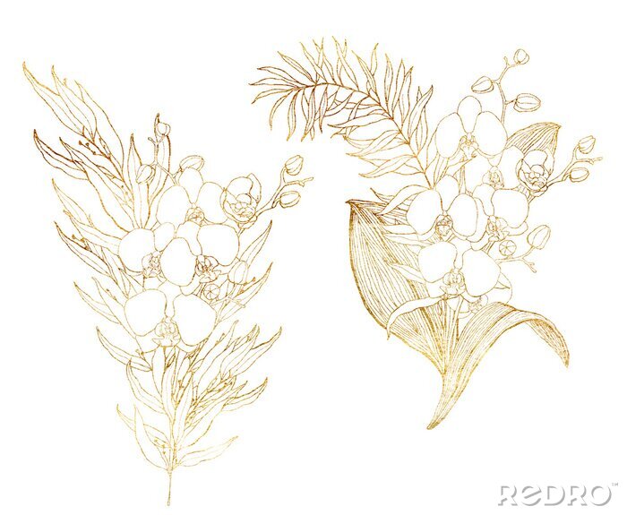 Bild Orchidee mit braunem Strich gemalt