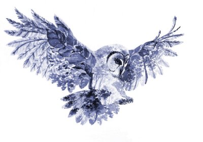 Bild Owl, forest, watercolor illustration on white background