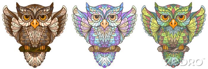 Bild Owl. Wall sticker. Set of 3 artistic, hand-drawn, decorative multicolored owls on a white background.