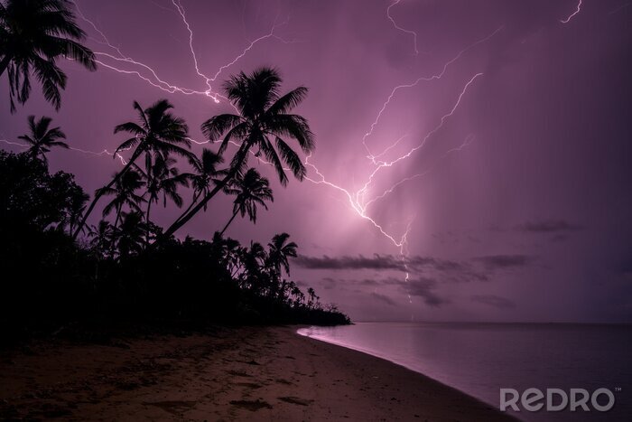 Bild Palmen mit Sturm im Hintergrund