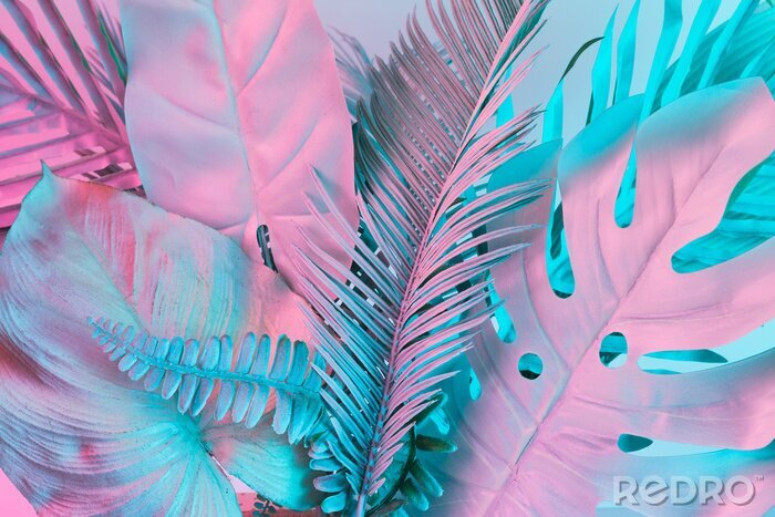 Bild Palmenblätter im Rosa-Ton