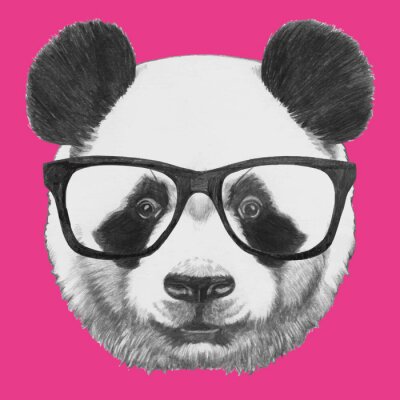 Pandabär mit großer Brille