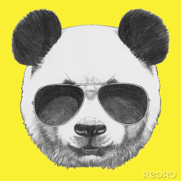 Bild Pandabär mit Sonnenbrille