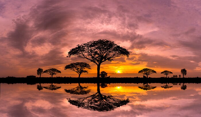 Bild Panorama silhouette tree and Mountain with sunset.Tree silhouetted against a setting sun reflection on water.Typical african sunset with acacia trees in Masai Mara, Kenya.