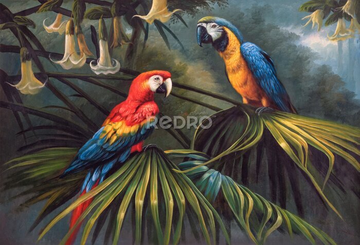 Bild Papageien sitzen auf einem Ast im Dschungel