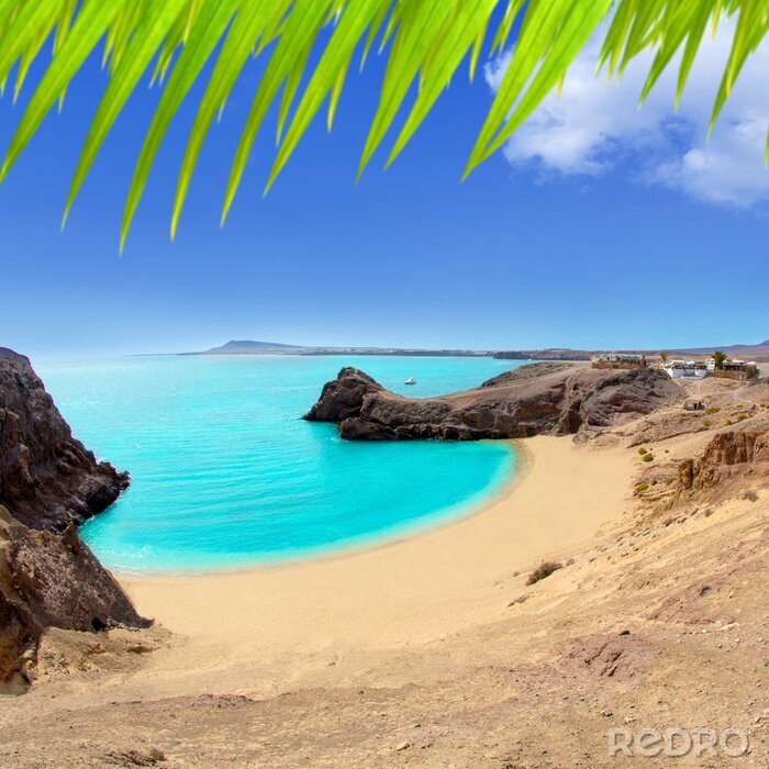 Bild Paradiesischer Strand und türkisfarbenes Meer