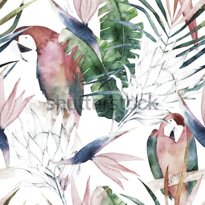 Bild Paradiesvogel und tropische Blätter
