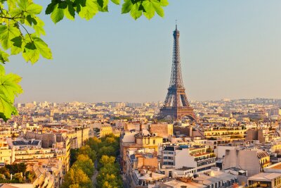 Bild Paris Blick auf Eiffelturm