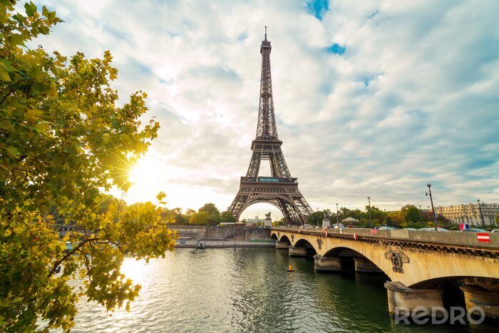Bild Paris Brücke über Seine