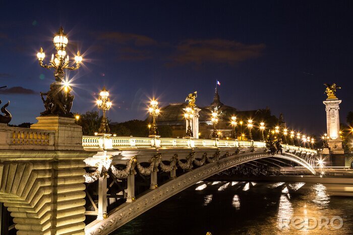 Bild Paris und Pont Alexandre III