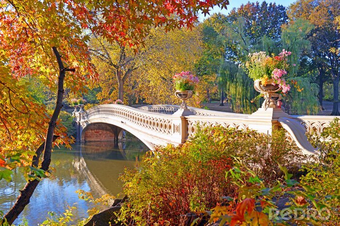 Bild Park Herbstfarben