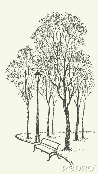Bild Parkallee mit Bäumen