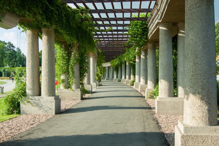Bild Pergola im Park