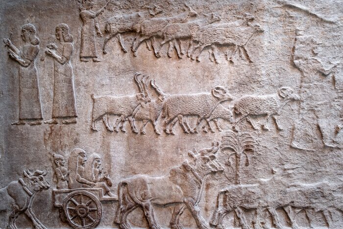 Bild Persische Mauern