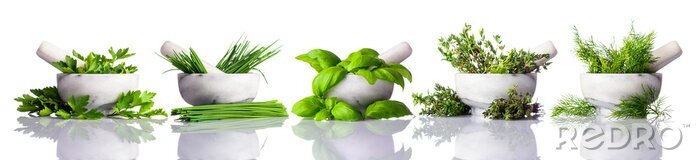 Bild Pestle und Mörtel mit grünen Kräutern auf weißem Hintergrund