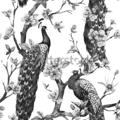 Bild Pfauen in Schwarz und Weiß