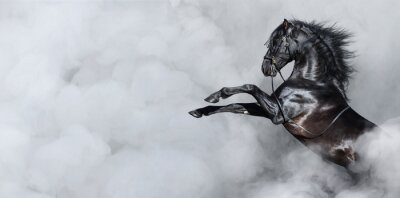 Pferd im grauen Rauch