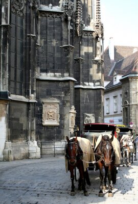 Bild Pferde auf Straßen der Stadt