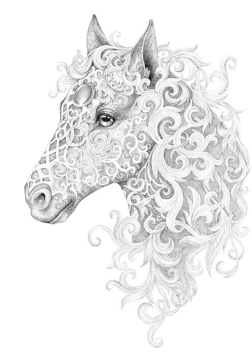 Bild Pferdekopf mit Mähne aus Ornamenten
