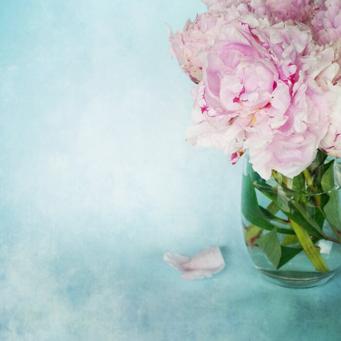 Bild Pfingstrosen in der Vase Shabby-Chic