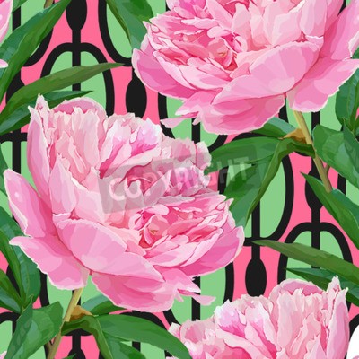 Bild Pfingstrosen und Blätter auf farbigem Hintergrund