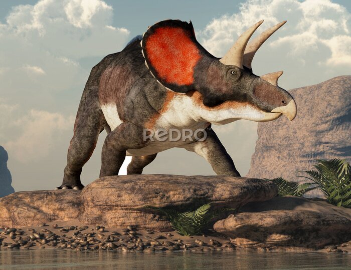 Bild Pflanzenfressender Triceratops