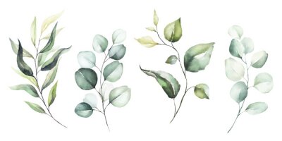 Pflanzenzweige mit grünen Blättern auf weißem Hintergrund