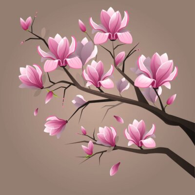 Bild Pink magnolia flowers