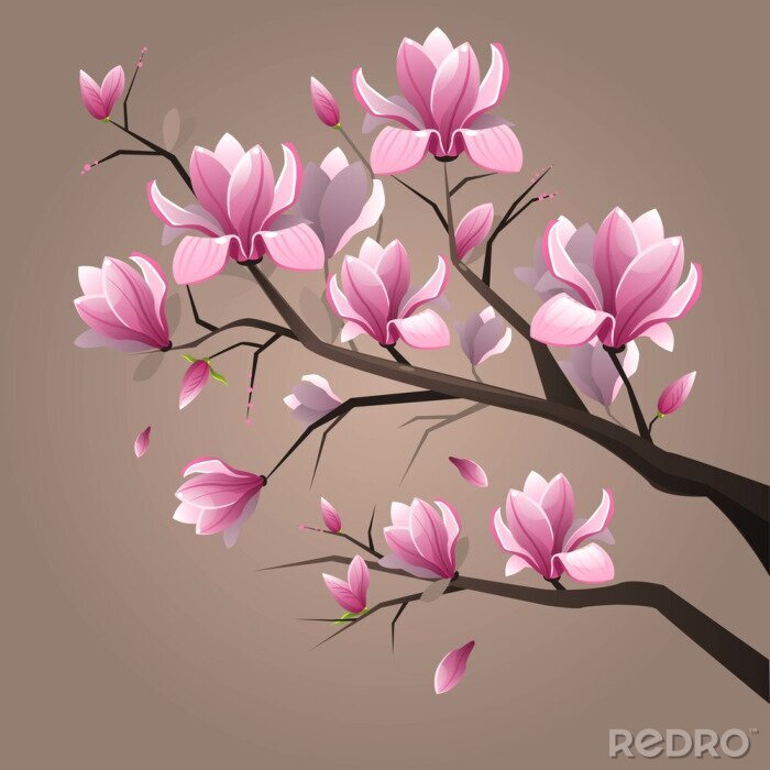 Bild Pink magnolia flowers