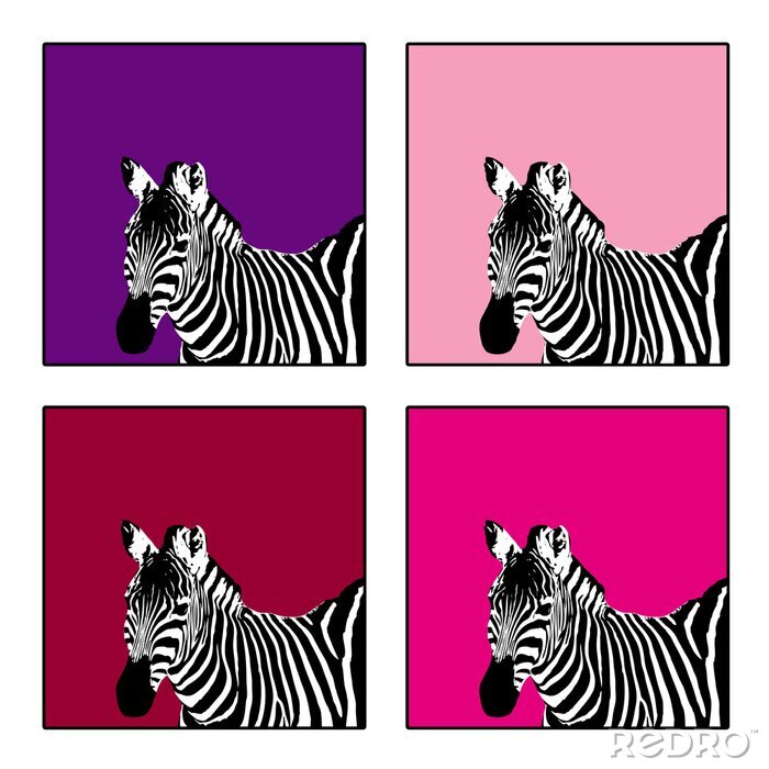 Bild Popart-Zebra in vier Versionen