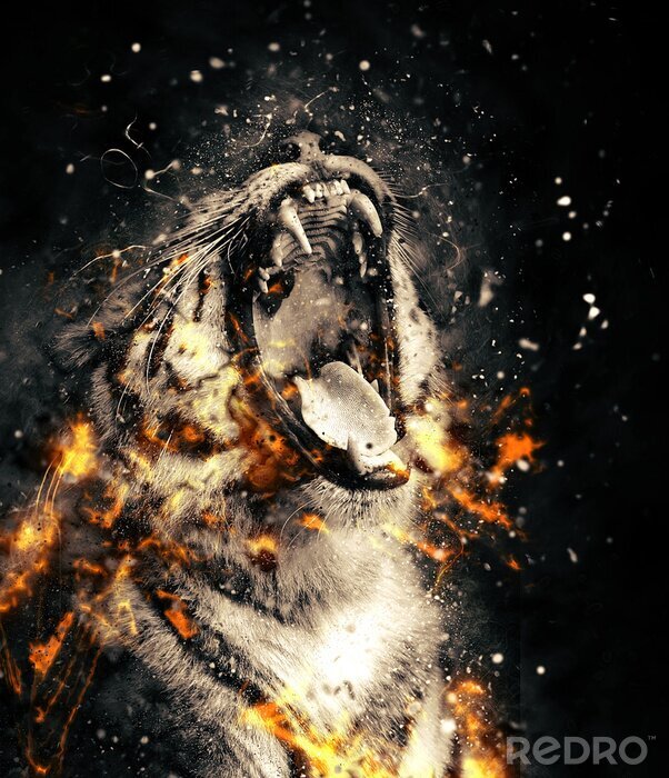 Bild Porträt eines tigers in flammen