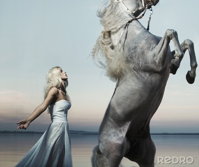 Bild Porträt von Frau und grauem Pferd