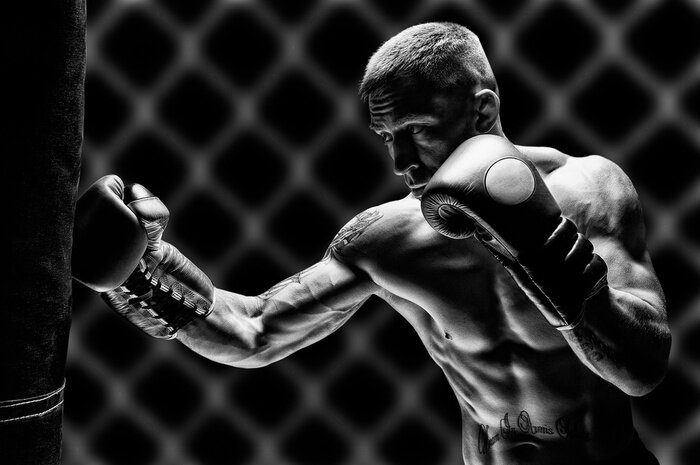 Bild Professioneller Boxer während des Trainings