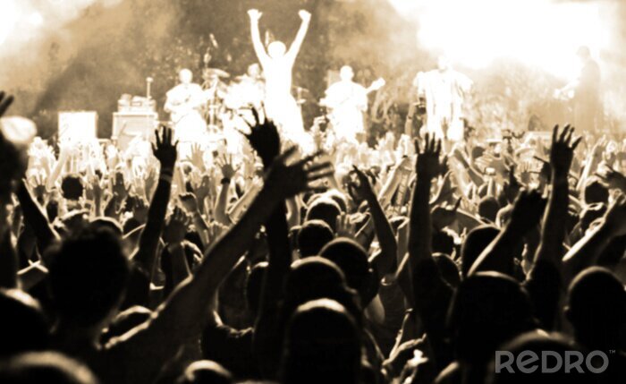 Bild Punk-Konzert und Publikum