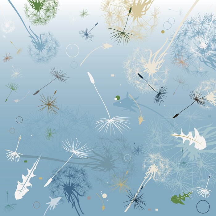 Bild Pusteblumen Samen und Grün