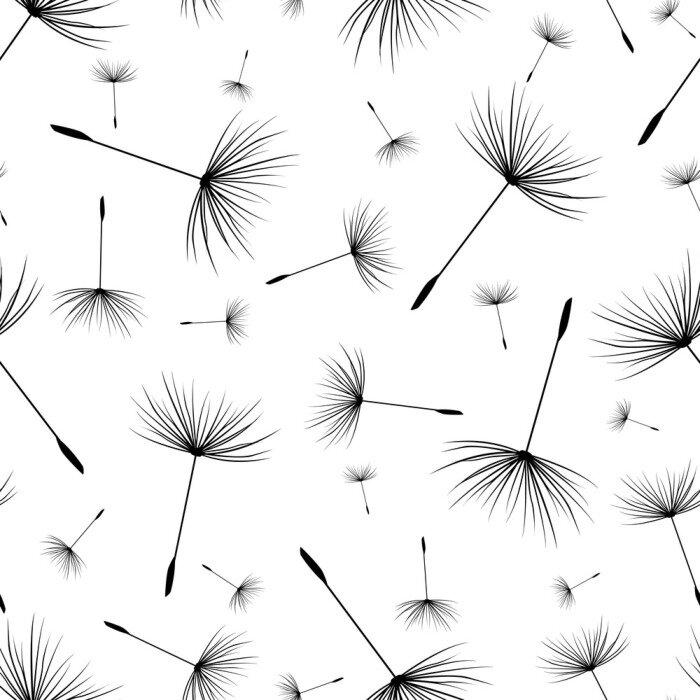 Bild Pusteblumen schwarz-weiß moderne Dekoration