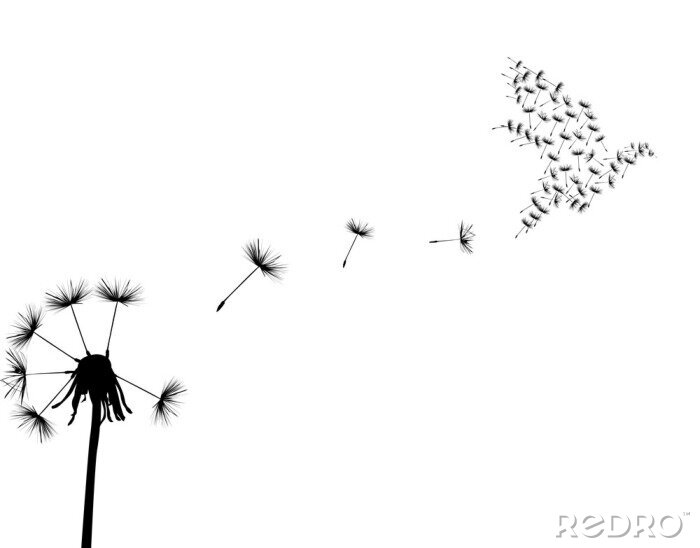 Bild Pusteblumensamen in Form eines Vogels