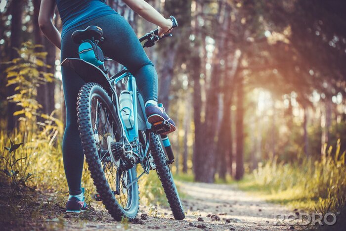 Bild Radfahrerin auf dem Fahrrad im Wald