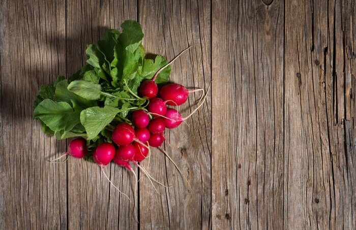 Bild Radieschen auf Holz