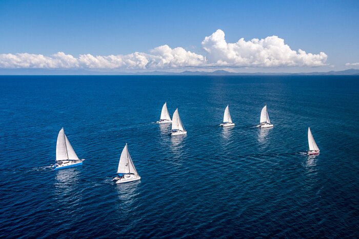 Bild Regatta mit Segelbooten