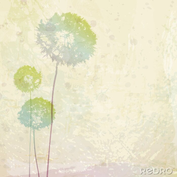 Bild Regenbogen-Pusteblumen