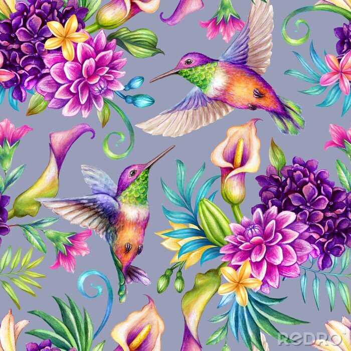 Bild Regenbogenvögel und farbenfrohe Blumen