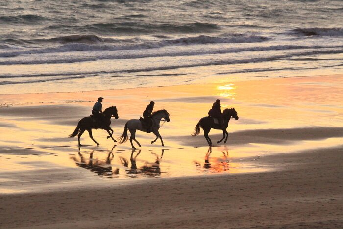 Bild Reiten am Strand
