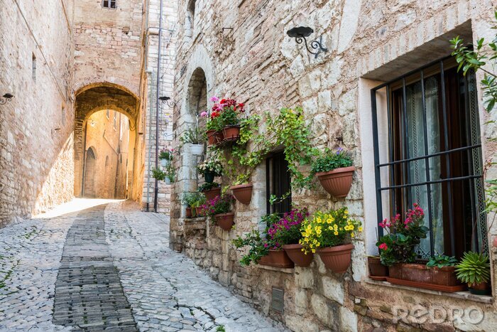 Bild Reizvolle Gasse in Italien