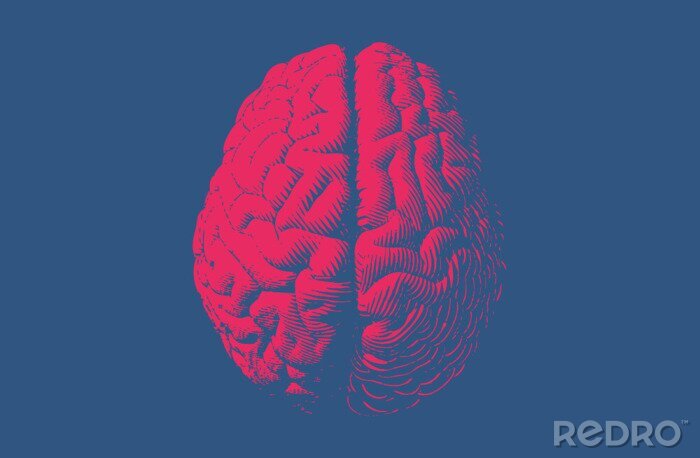 Bild Retro-Abbildung eines gesunden Gehirns