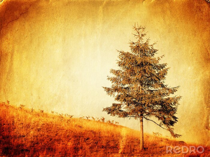 Bild Retro Baum am Hügel