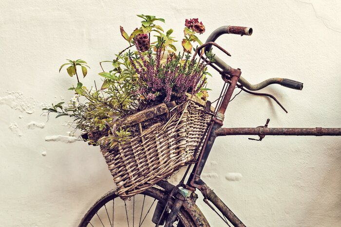 Bild Retro-Fahrrad mit Blumen im Korb