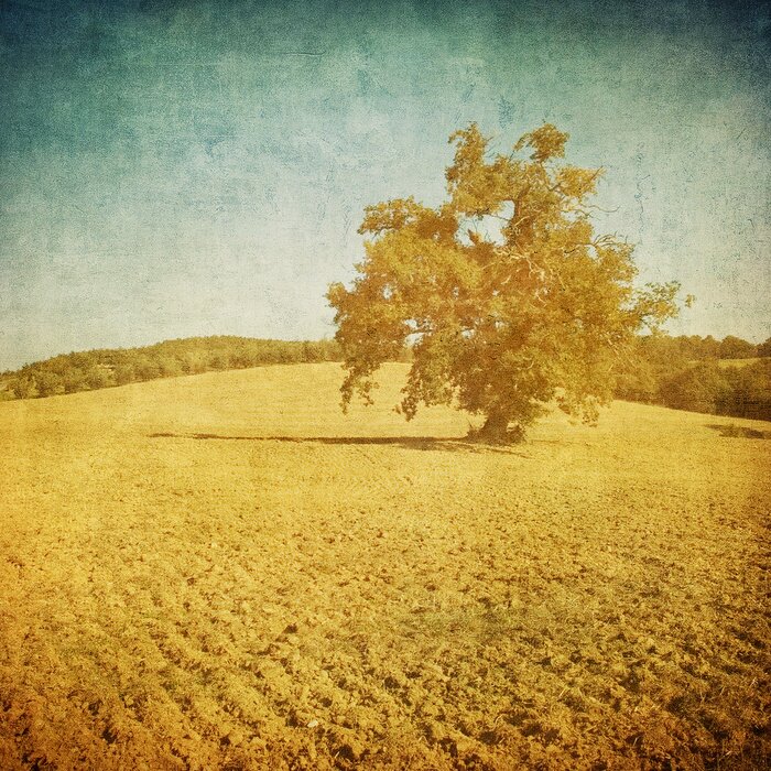 Bild Retro-Landschaft mit Baum