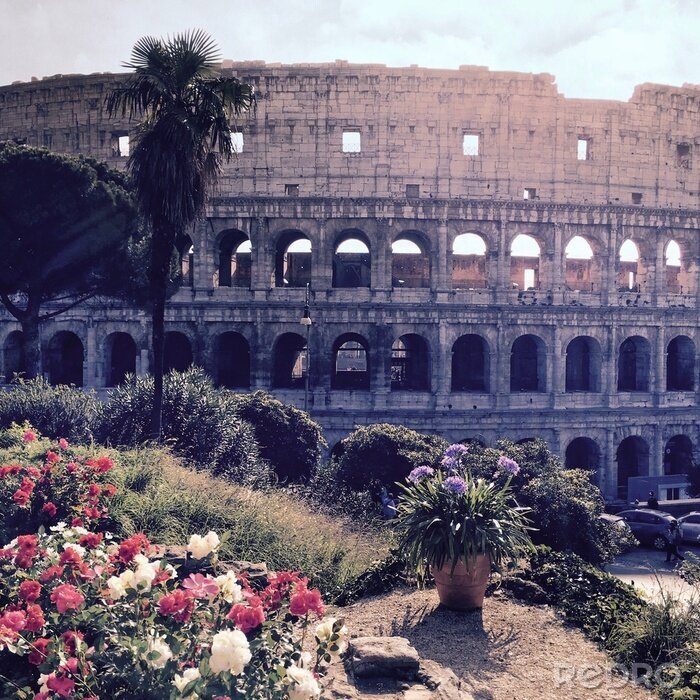 Bild Rom Kolosseum und Natur